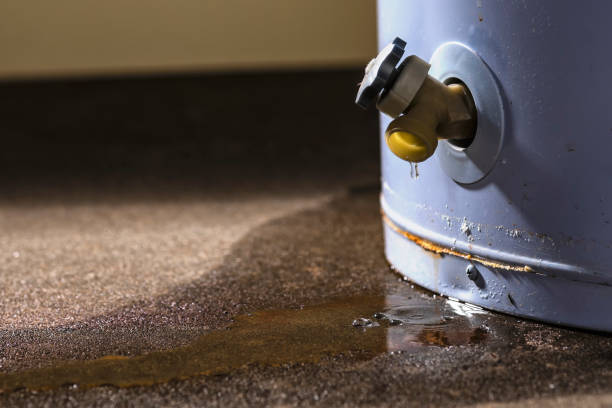 Best Professional water damage repair  in Wright Patterson Af, OH