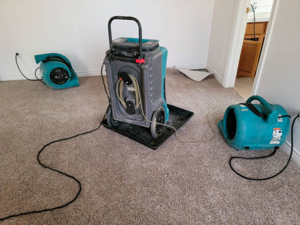 Best Flood damage cleanup  in Wright Patterson Af, OH