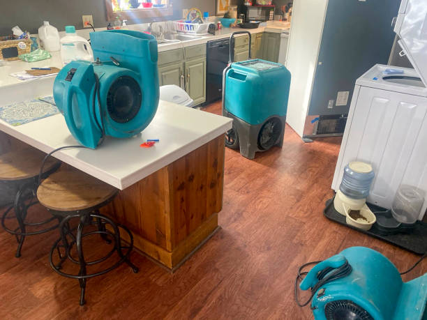 Best 24/7 water damage repair  in Wright Patterson Af, OH