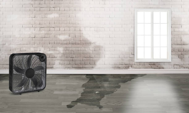 Best Ceiling water damage repair  in Wright Patterson Af, OH