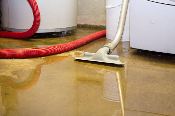 Best Residential water damage restoration  in Wright Patterson Af, OH