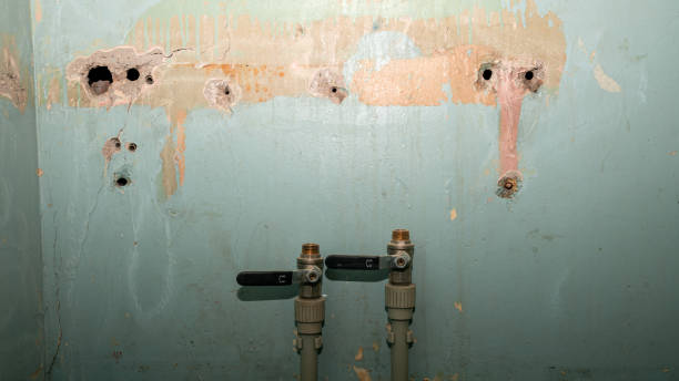  Wright Patterson Af, OH Water damage restoration Pros