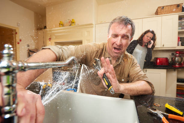 Best Flooded house restoration  in Wright Patterson Af, OH